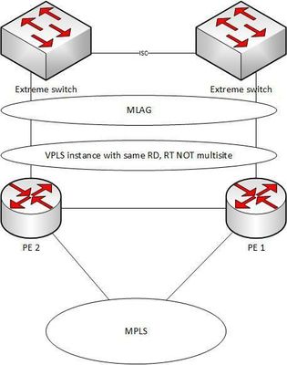 21952af7a11249c99fb2d7da838fe5e3_RackMultipart20170222-59245-pa9nn1-MLAG-VPLS-Active-active_inline.jpg