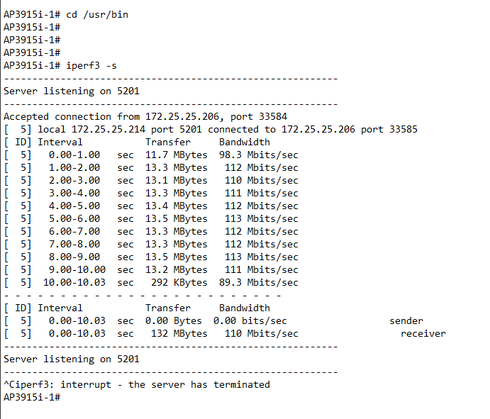 3fe8d191e7854d3f83c63c1685a621f3_RackMultipart20181102-65200-1c3h2gp-iperf01_inline.png